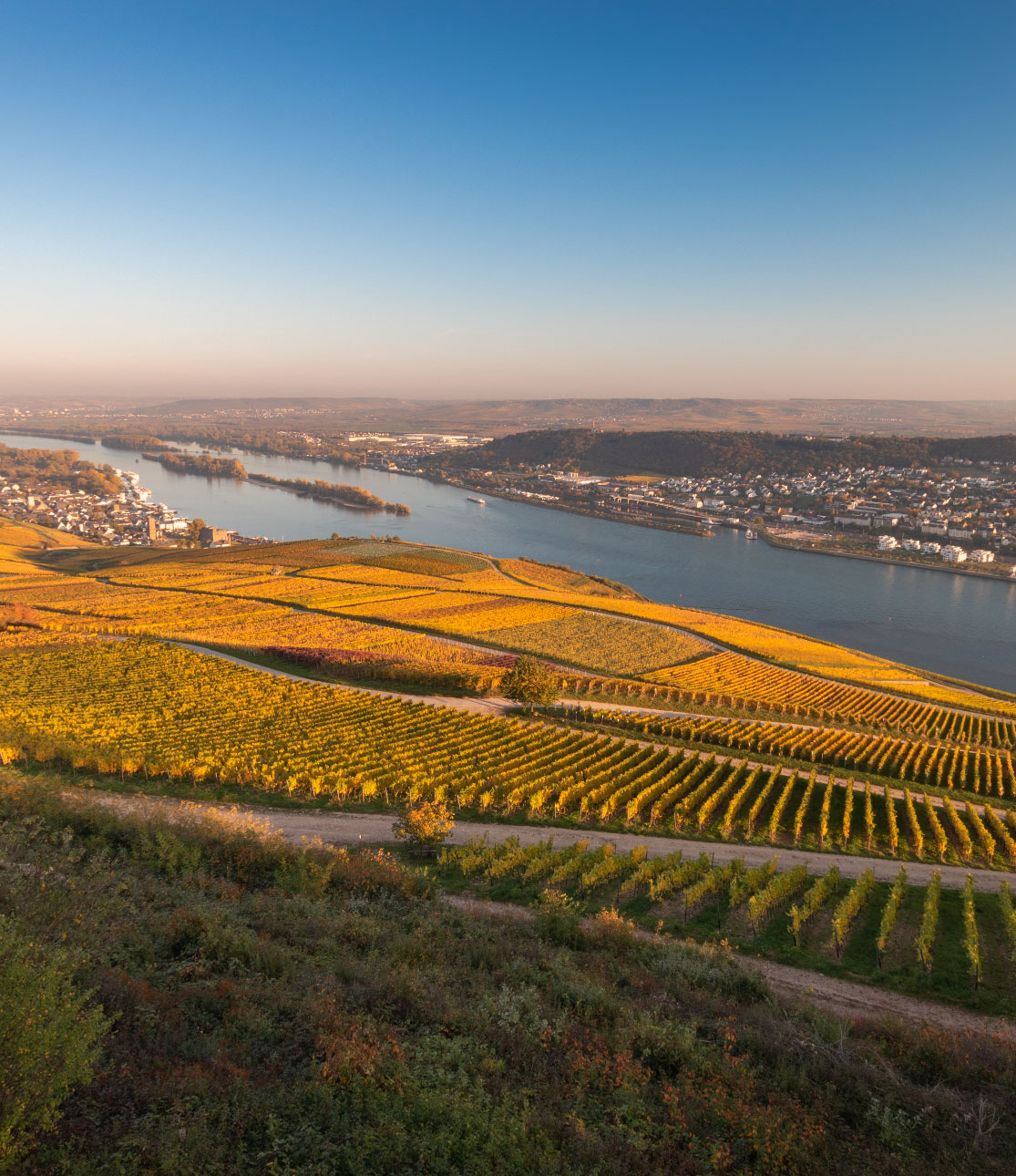 rheinhessen